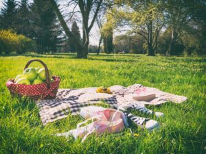 Outdoor Blankets 101 How To Choose And Care Tips