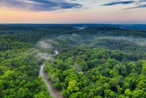 Five of the top rainforest destinations in the world