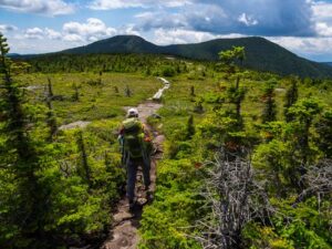 10 best long-distance hikes in the US for 2022 – Lonely Planet